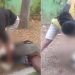 Cuplikan video dugaan penganiayaan seorang pelajar di Kota Gorontalo oleh seorang remaja di Taman Kota Gorontalo yang beredar luas di masyarakat Gorontalo. (istimewa)