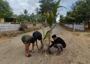 Aksi protes pemuda di Kecamatan Mootilango menanam bibit pohon kelapa menuju lokasi pelaksanaan World Coconut Day yang akan digelar di Desa Huyula, Kecamatan Mootilango, Kabupaten Gorontalo.(Yusuf/gopos)