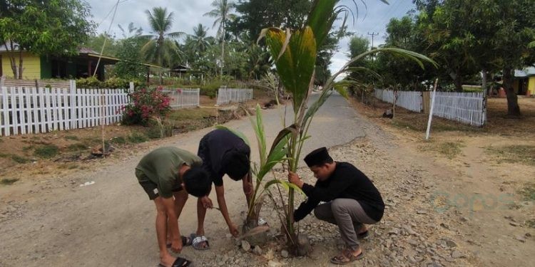 Aksi protes pemuda di Kecamatan Mootilango menanam bibit pohon kelapa menuju lokasi pelaksanaan World Coconut Day yang akan digelar di Desa Huyula, Kecamatan Mootilango, Kabupaten Gorontalo.(Yusuf/gopos)