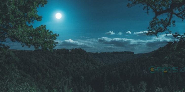 Ilustrasi cuaca malam (foto: pixabay.com)