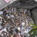 Tampak sampah telah menyumbat selokan Kalimadu yang berlokasi di Kelurahan Paguyaman, Kecamatan Kota Tengah, Kota Gorontalo.