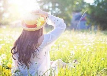 Ilustrasi liburan musim panas. Pixabay