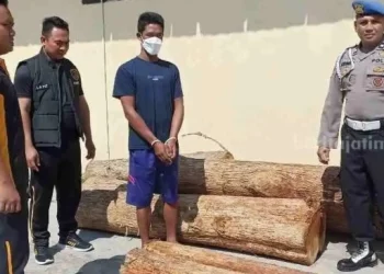 Pelaku pencurian kayu jati yang diamankan oleh pihak Kepolisian Polsek Jenu. [beritajatim.com]