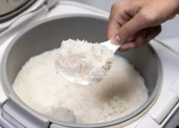 Ilustrasi rice cooker. (Pixabay)