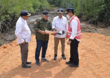 Menteri Perhubungan Budi Karya Sumadi (dua kanan) saat meninjau lokasi pembangunan Bandara Ibu Kota Negara di Kalimantan Timur, pada Selasa (31/10/2023). ANTARA/HO-Kemenhub
