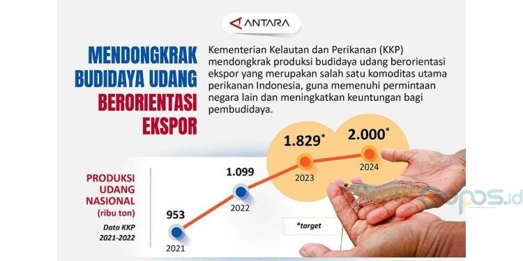 Infografik: Mendongkrak Budidaya Udang Berorientasi Ekspor - Gopos.id