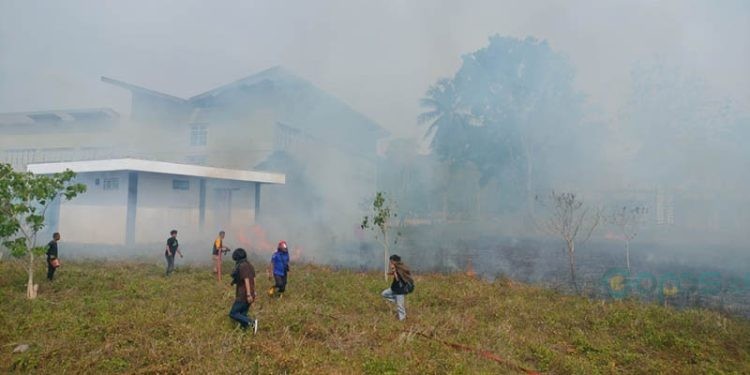 Kebakaran yang melanda lahan di komplek Fakultas Teknik UNG di Desa Muotong, Kecamatan Tilongkabila, Bone Bolango. (Putra/gopos)
