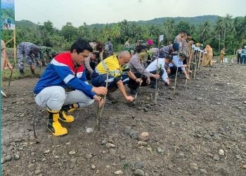 Kegiatan penanaman mangrove oleh Pertamina dan TNI serta instansi pemerintah Kab. Bone Bolango Provinsi Gorontalo di puncak penanaman mangrove nasional di Desa Tongo Kab. Bone Bolango (15/5) lalu sebagai bentuk komitmen dukungan penananam pohon untuk mengurangi emisi karbon serta khususnya mengurangi abrasi.