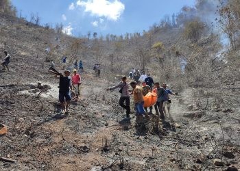 Proses evakuasi korban Nema Obi (48) yang ditemukan tewas terpanggang di areal perbukitan yang merupakan kebun miliknya, Selasa (17/10/2023).