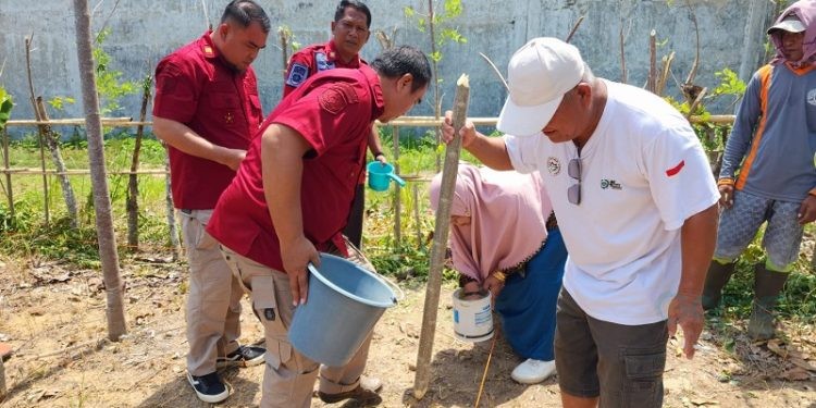 Lembaga Pemasyarakatan Pohuwato, Manfaatkan Kebun Tanami Pohon Kenaf, Kamis 26/10/2023 (F. Yusuf/gopos)