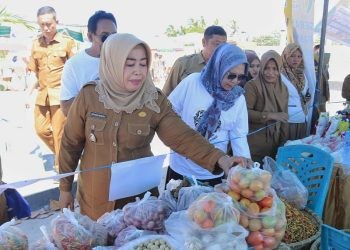 Wakil Bupati Pohuwato Suharsi Igirisa memantau Pasar Murah yang di laksanakan di Pelataran Pohon Cinta Pohuwato, Senin (16/10/2023). (F Humas Pemda Pohuwato)