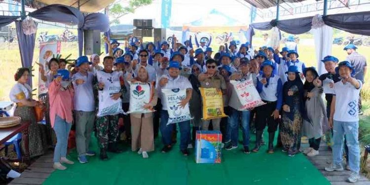 PT Pupuk Kalimantan Timur (Pupuk Kaltim) melalui program Makmur kembali berhasil mendorong produktivitas hasil pertanian masyarakat, khususnya komoditas padi di Kecamatan Campa, Kabupaten Pinrang, Provinsi Sulawesi Selatan.