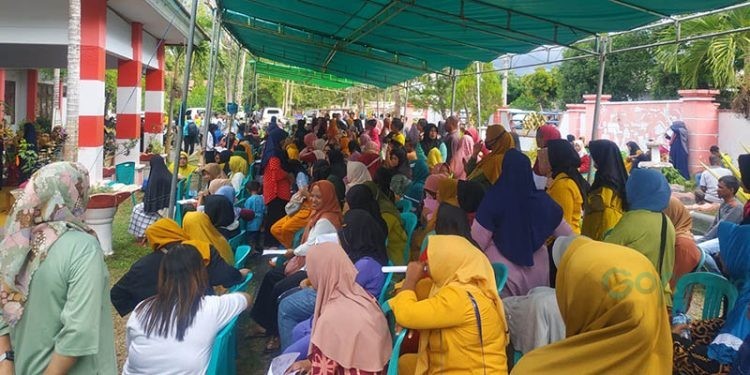 Sebanyak 562 Pelaku UKM Mendapat Bantuan dari Pemerintah Daerah Pohuwato, berlangsung di halaman kantor Dinas Perindagkop dan UKM, Rabu 29/11/2023 (Yusuf/Gopos)
