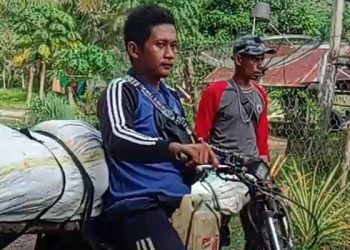 Kedua Jasad Tertimpa Pohon di Evakuasi Melalui Ojek di Wilayah Pertambangan Ilegal, Jum'at 24/11/2023 (Istimewa)