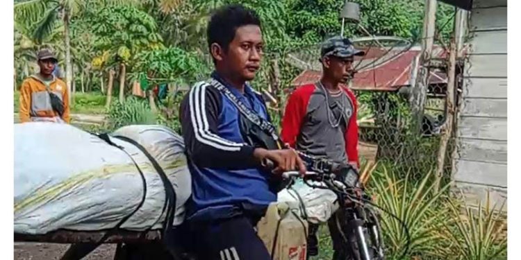 Kedua Jasad Tertimpa Pohon di Evakuasi Melalui Ojek di Wilayah Pertambangan Ilegal, Jum'at 24/11/2023 (Istimewa)