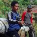 Kedua Jasad Tertimpa Pohon di Evakuasi Melalui Ojek di Wilayah Pertambangan Ilegal, Jum'at 24/11/2023 (Istimewa)