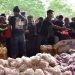 Dinas Komperindag Provinsi Gorontalo saat melayani pengemudi bentor dan ojek online pada pasar murah yang diselenggarakan di halaman kantor Diskomperindag, Jumat, (3/11/2023). Foto – Nova