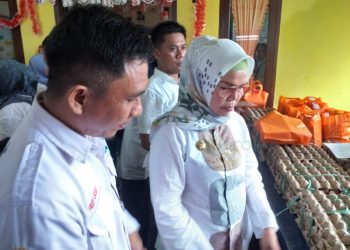 : Plt Bupati Merlan S. Uloli didampingi Plt Kepala Dinas Sosial P3APPKB, Fredy Lasut saat memantau ketersediaan bantuan intervensi stunting di Kecamatan Bulango Timur, Rabu (15/11/2023). (Foto Indra/Gopos)