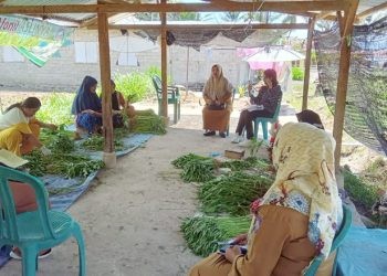 Anggota DPRD Provinsi Gorontalo, Yeyen Sidiki saat melaksanakan kunjungan kerja untuk menyerap aspirasi kelompok tani di Kabupaten Bone Bolango, Senin ((7/11/2023) (istimewa)