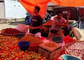 Rijal, salah satu pedagang di pasar tradisional mengatakan dari beberapa sembako yang paling mahal ialah cabai.