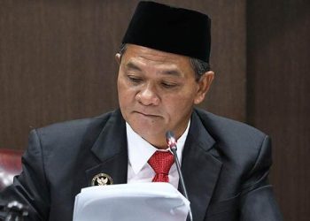 Ketua Majelis Sidang DKPP Heddy Lugito. (Dok. DKPP)