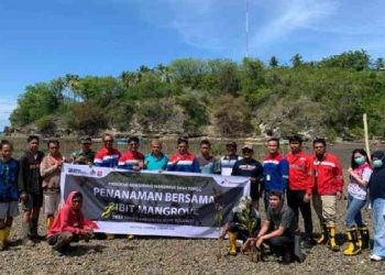 PT Pertamina Patra Niaga Fuel Terminal Gorontalo melakukan penanaman bersama bibit mangrove di Desa Tongo, Kabupaten Bone Bolango.