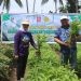 Plt Bupati Bone Bolango, Merlan S. Uloli didampingi Kepala Dinas Ketahanan Pangan dan Pertanian, Yusbar Ismail saat melakukan panen sayur di Desa Bube Baru, Kecamatan Suwawa, Jumat (5/1/2024). (Foto Yudi/Sespri)