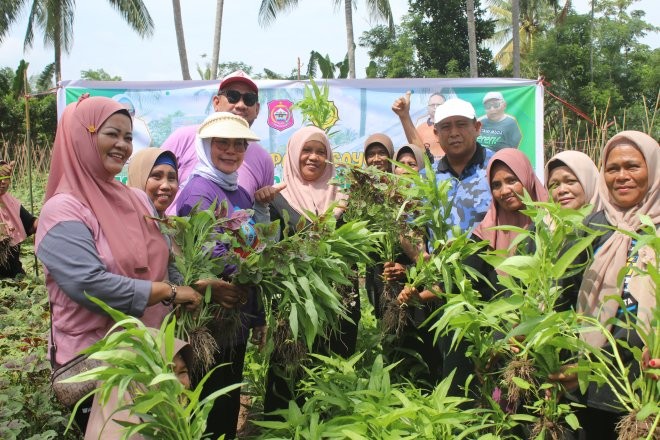 Plt Bupati Bone Bolango, Merlan S. Uloli melakukan panen sayur bareng emak-emak Kelompok Wanita Tani (KWT) di Desa Bube Baru, Kecamatan Suwawa, Jumat (5/1/2024). (Foto Yudi/Sespri)