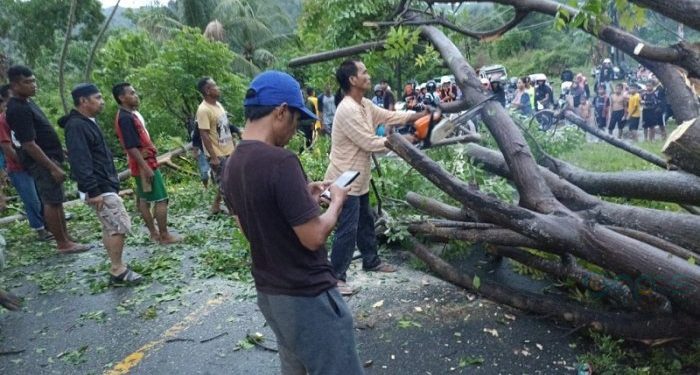 Tampak warga setempat bahu membahu membersihkan pohon tumbang di jalan trans Sulawesi Desa Tihu Kecamatan Bone Pantai, Bone Bolango, Gorontalo, Jumat (5/1/2024)