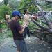 Tampak warga setempat bahu membahu membersihkan pohon tumbang di jalan trans Sulawesi Desa Tihu Kecamatan Bone Pantai, Bone Bolango, Gorontalo, Jumat (5/1/2024)