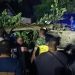 Pohon tumbang yang berlokasi di depan Polda Gorontalo, Jumat (5/1/2024).