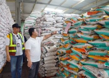 Direktur Utama Pupuk Kaltim Budi Wahju Soesilo saat meninjau ketersediaan pupuk menjelang musim tanam di awal tahun 2024.