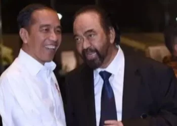 Jokowi bersama Surya Paloh (Biro Pers Sekretariat Presiden)