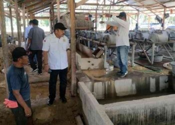 Ketua DPRD Bone Bolango Halid Tangahu berserta Sekertaris Komisi II, Paris Djali melakukan sidak terhadap salah satu pengolahan tambang yang diduga tidak memiliki izin