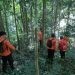Sejumlah anggota Basarnas Pohuwato saat mencari Amir Ismail (40) yang tersesat di hutan Popayato.(F. Basarnas)