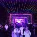 Masyarakat Kota Gorontalo Sangat antusias merayakan festival Tombilotohe di Kota Gorontalo