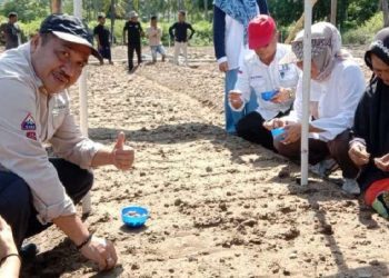 Ketua DPRD Bone Bolango, Halid Tangahu saat menghadiri kegiatan Penanaman Bawang Merah di lahan Kelompok Tani Motolango Desa Bilungala Utara Kecamatan Bone Pantai, beberapa waktu lalu