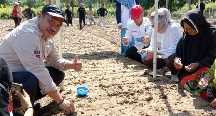 Ketua DPRD Bone Bolango, Halid Tangahu saat menghadiri kegiatan Penanaman Bawang Merah di lahan Kelompok Tani Motolango Desa Bilungala Utara Kecamatan Bone Pantai, beberapa waktu lalu