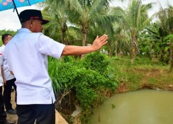 Bupati Pohuwato Saipul Mbuinga meninjau langsung lokasi pasca banjir bandang di Kecamatan Taluditi, Rabu (24/04/2024) (F. Iwanu Karim/humas)