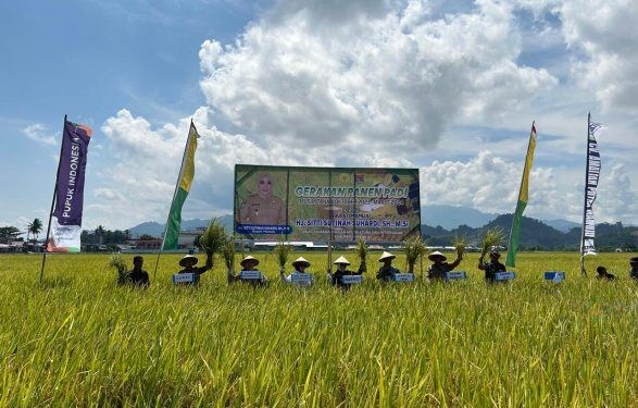 Pupuk Kaltim secara aktif kembali memberikan pendampingan bagi petani untuk pemilihan pupuk tepat dan berkualitas dalam mendorong produktivitas padi di Kecamatan Kalukku, Kabupaten Mamuju Sulawesi Barat