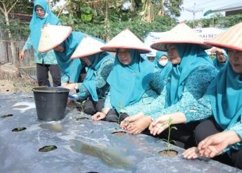 Ketua TP-PKK Kabupaten Asahan Ny. Hj. Titiek Sugiharti Surya, Wakil Ketua I TP. PKK Kabupaten Asahan Ny.Yusnila Indriati Taufik ikuti gerakan tanam cabai serentak se-Indonesia.