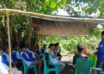 Program pendampingan petani dalam mendorong produktivitas tanaman dan hasil pertanian masyarakat kembali berhasil dilaksanakan PT Pupuk Kalimantan Timur (Pupuk Kaltim), ditandai panen Demonstration Plot (Demplot) komoditas cabai di Kabupaten Bolaang Mongondow Utara, Provinsi Sulawesi Utara.