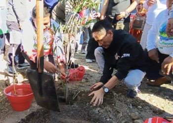 Bupati Gorontalo Nelson Pomalingo saat melakukan penanaman pohon dalam program penghijauan di Kecamatan Isimu, Ahad (12/5/2024).