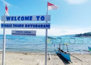 Wisata Whale Shark (Hiu Paus) di Desa Botubarani, Kecamatan Kabila Bone, Bone Bolango sepi pengunjung pasca menghilangnya hiu paus.