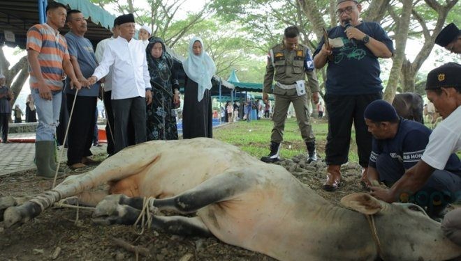 Bupati Asahan Surya turut menyaksikan penyembelihan hewan kurban di alun-alun Rambate Rata Raya, Kisaran, Senin (17/6/2024)