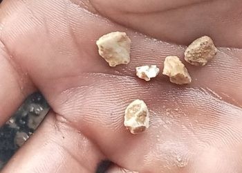Salah satu bukti kerikil yang ditemukan petani bercampur dengan pupuk bersubsidi jenis NPK Phonska di Kabupaten Gorontalo. (Foto istimewa)