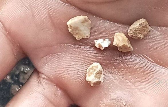 Salah satu bukti kerikil yang ditemukan petani bercampur dengan pupuk bersubsidi jenis NPK Phonska di Kabupaten Gorontalo. (Foto istimewa)