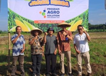 Optimalkan peran dalam mendorong ketahanan pangan dan penguatan sektor pertanian secara terintegrasi, PT Pupuk Kalimantan Timur (Pupuk Kaltim) melalui program MAKMUR Agrosolution tanam perdana pembenihan jagung hibrida di Kabupaten Purbalingga Jawa Tengah.