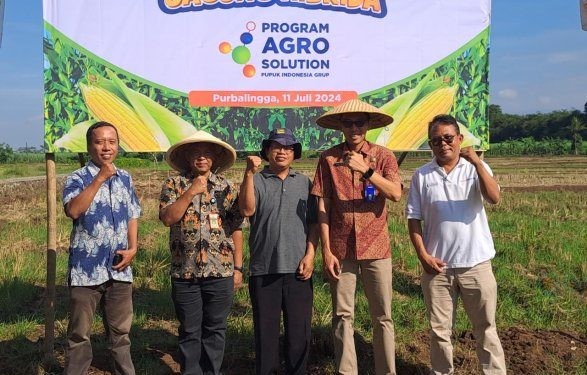 Optimalkan peran dalam mendorong ketahanan pangan dan penguatan sektor pertanian secara terintegrasi, PT Pupuk Kalimantan Timur (Pupuk Kaltim) melalui program MAKMUR Agrosolution tanam perdana pembenihan jagung hibrida di Kabupaten Purbalingga Jawa Tengah.