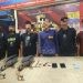 Aksi pencurian knalpot motor di Kota Gorontalo gorontalo menjadi viral di berbagai platfom media sosial (medsos).